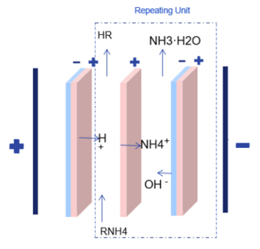 two chambers with BPM and CEM